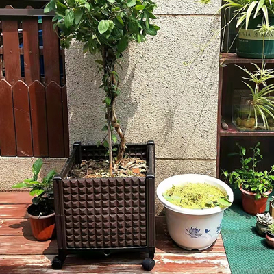 Iso9001 Decoratieve Openlucht Plastic Planter op Milieuvriendelijke Wielen