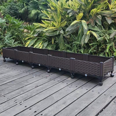 Iso9001 Decoratieve Openlucht Plastic Planter op Milieuvriendelijke Wielen