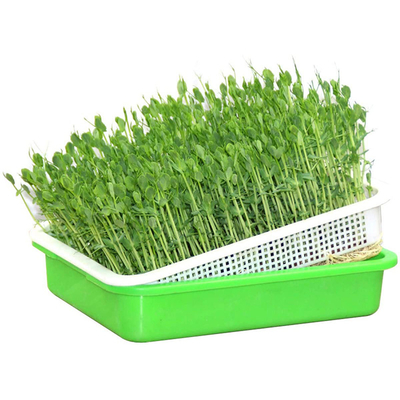 Van het Behouds Plastic Ontspruitende Dienbladen van de polystyreenhitte Hydroponic de Installatiedienbladen