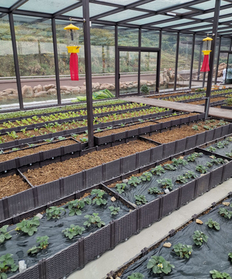 Maak 26CM Hoge Plastiek Opgeheven Plantersdozen voor Fruitbomen Lichtgewichtwaterdicht