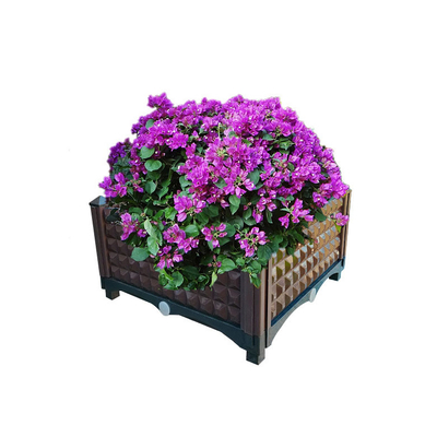 Binnendiepte 15cm Plastiek Opgeheven Plantersdozen
