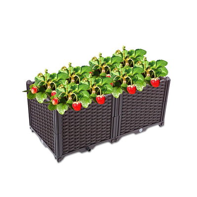 2pcs de opgeheven Dozen van de Polypropyleenplastiek Opgeheven Planter voor de Bescherming van de Tuinzon