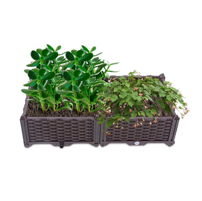 Straat 80cm de Plastic Bedden van de de Plantersplastiek Opgeheven Bloem van de Bloemdoos met Afvoerkanaalgat