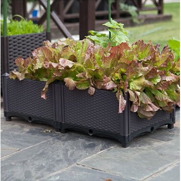 De klantgerichte Lange Plastic Aangeboden Steekproeven van de de Doos Gemakkelijke Degradatie van de Tuinplanter