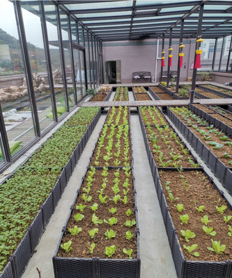 Multifunctionele Opgeheven Plastic Plantersdoos voor het Plantaardige Groeien Weerbestendigheid