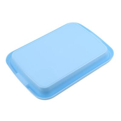 Rich Nutrition Seed Sprout Tray-Plaat UV Gestabiliseerde Aangepaste Grootte