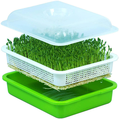 In te ademen Hydroponic Plastic Dienblad