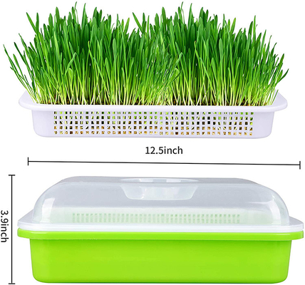 Lichte Overbrengende Zaadspruit Tray Seed Germination Box Flexible