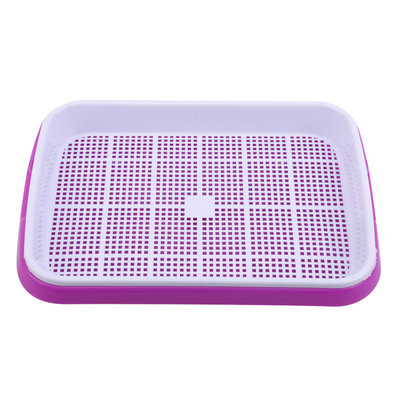 31cm Lengte Bean Sprout Growing Tray Two Tray Sprouter No Leakage