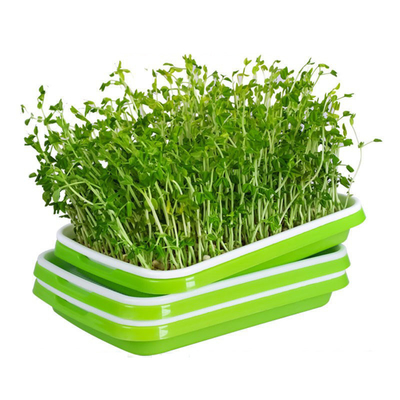 De rekupereerbare Ontspruitende Dienbladen van pp Microgreen met de Keukengebruik van het Dekkingsdeksel