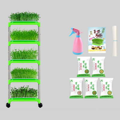 PE Met een laag bedekte Zaailing Tray Stand Mung Bean Sprouting vriendschappelijk Tray Environment